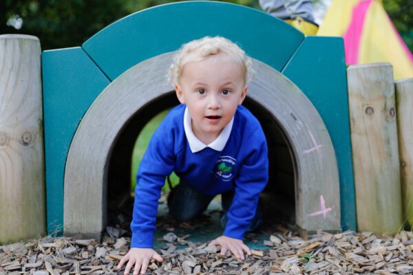 D1 2759 Copy 600x400